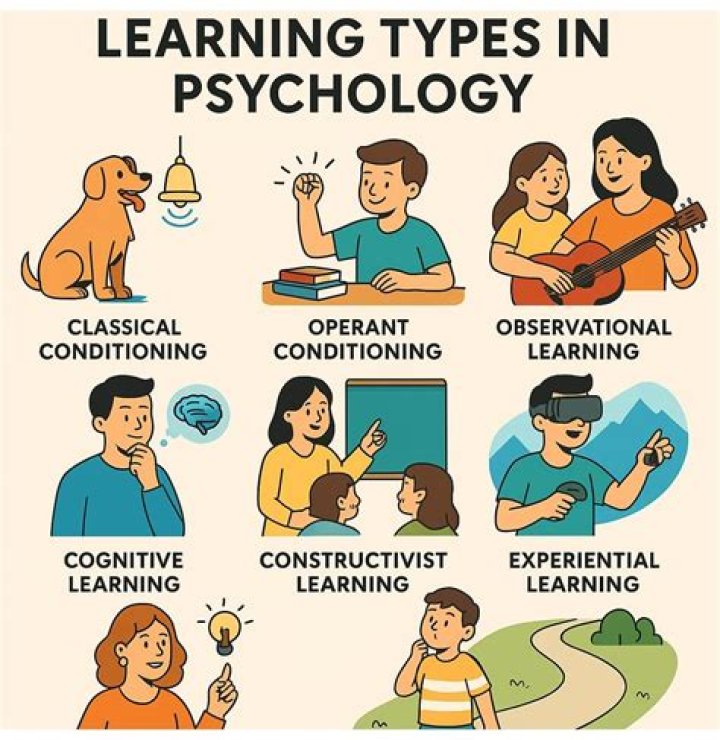 What can you learn when your bored?