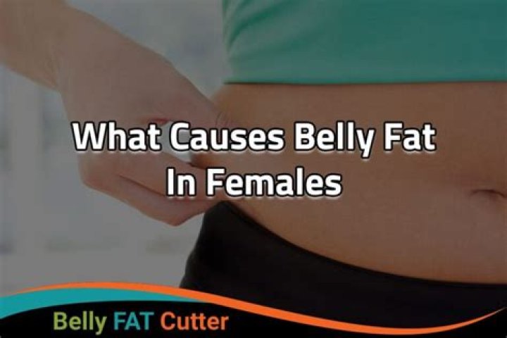 What causes sudden belly fat in females?
