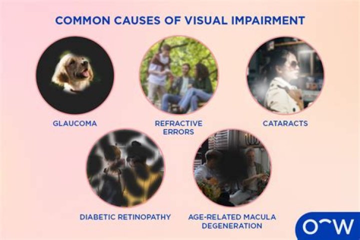 What causes vision to improve?