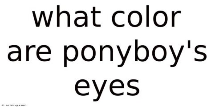 What color are Ponyboy's eyes?