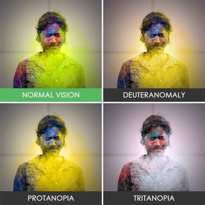 What color does a completely blind person see?