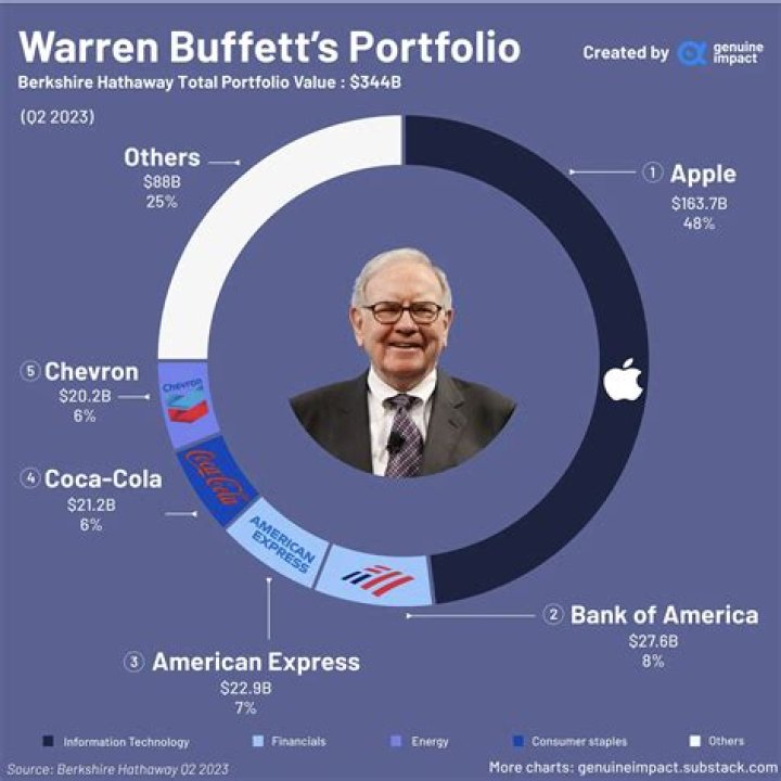 What companies does Warren Buffett fully own?