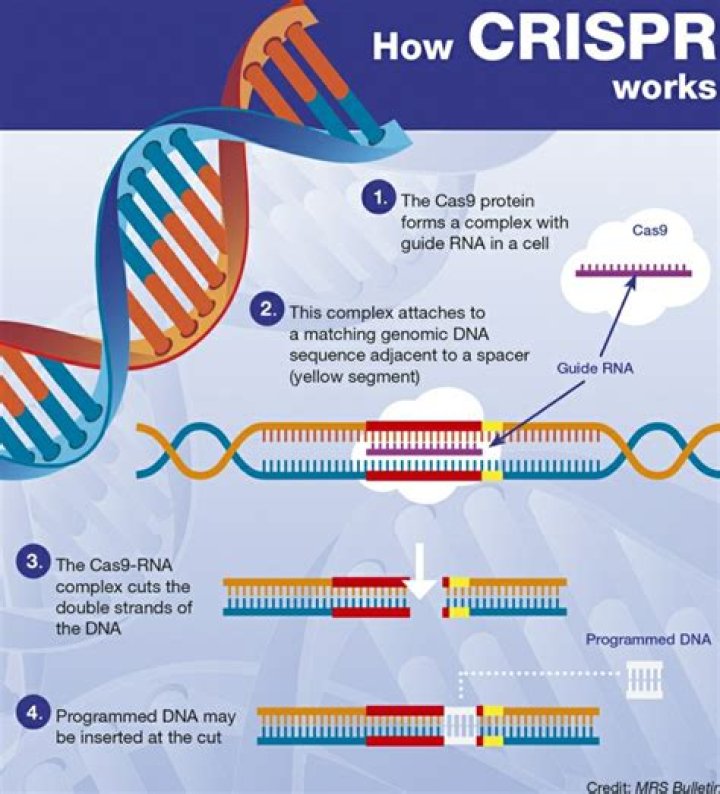 What company is using CRISPR to cure blindness?