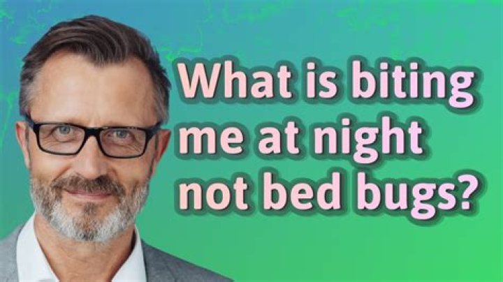 What could have bitten me in my bed?