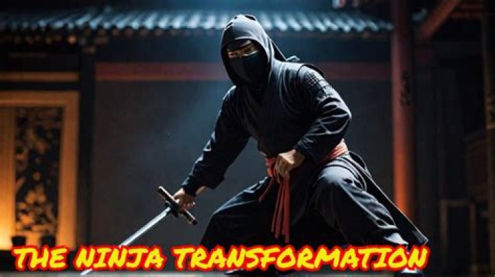 What country do ninjas come from?