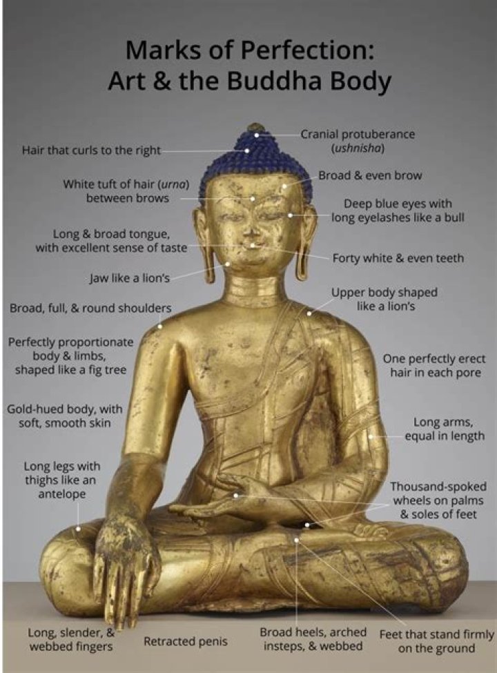 What did Buddha look like?