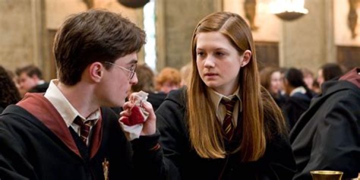What did Ginny do after Hogwarts?