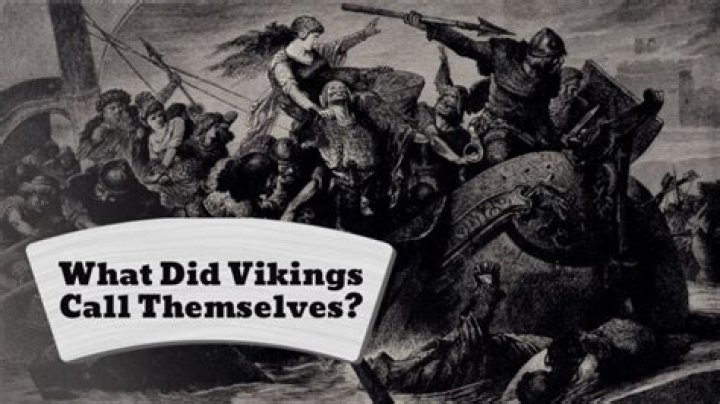 What did Vikings call cats?