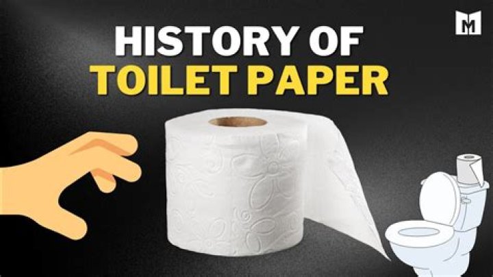 What did Vikings use for toilet paper?