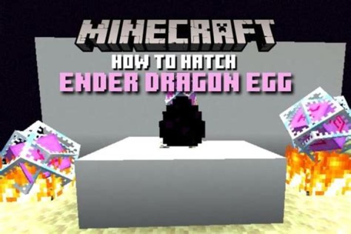 What do I do with the Ender dragon egg?