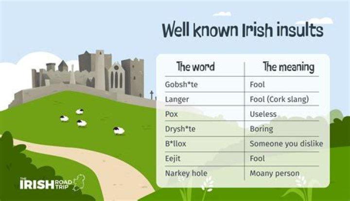 What do Irish people call Black and Tan?