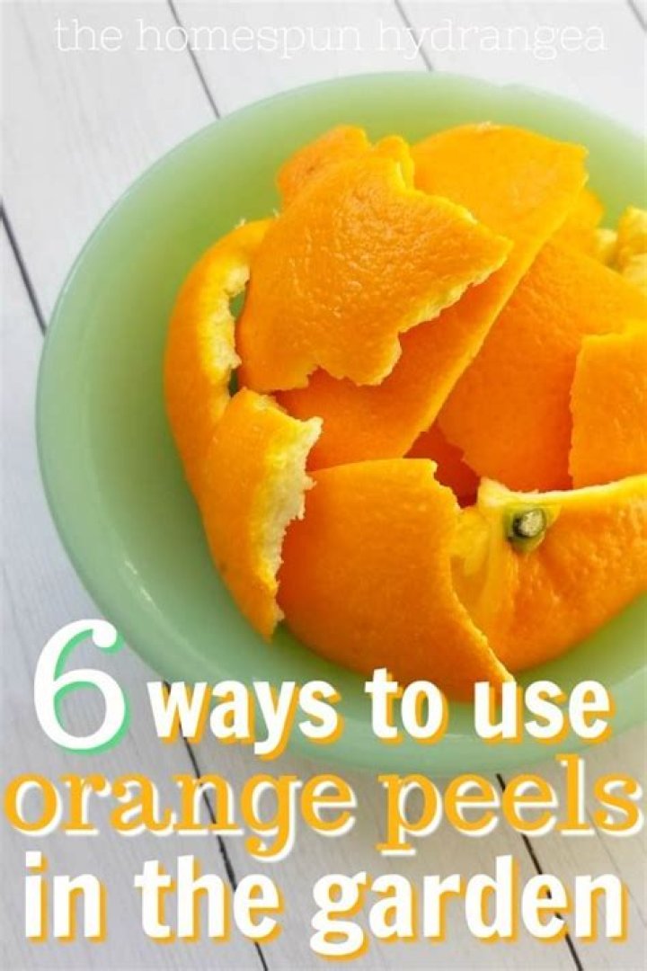 What do orange peels do for your face?