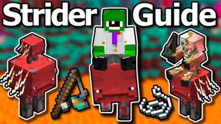 What do Striders eat Minecraft?
