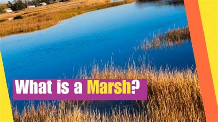 What do the Marsh Family do?