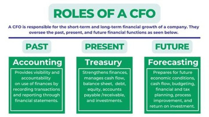 What does a CFO do?