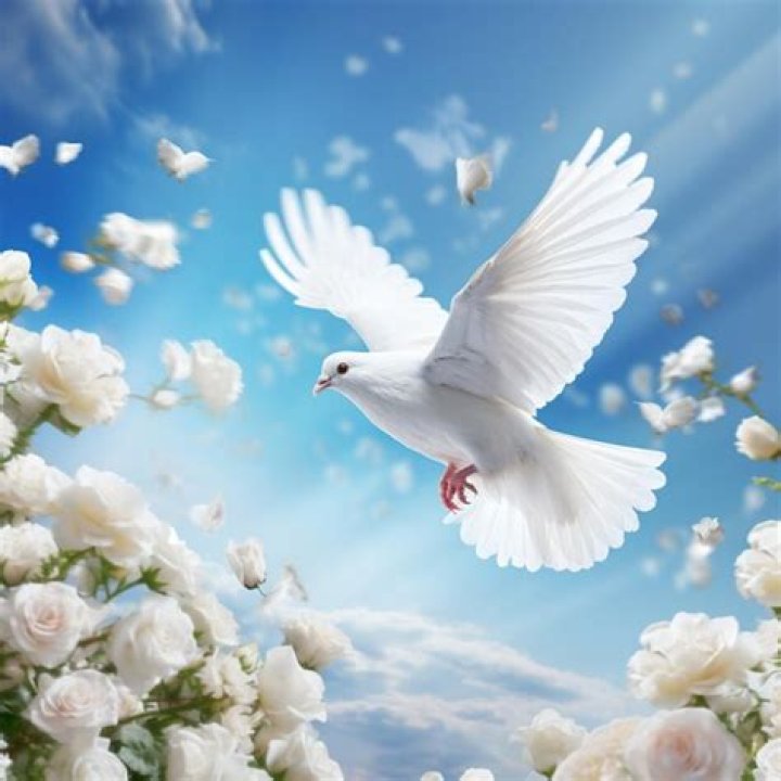 What does a dove carrying a flower mean?