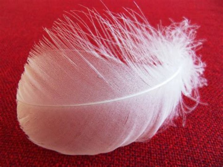What does a feather mean when someone dies?
