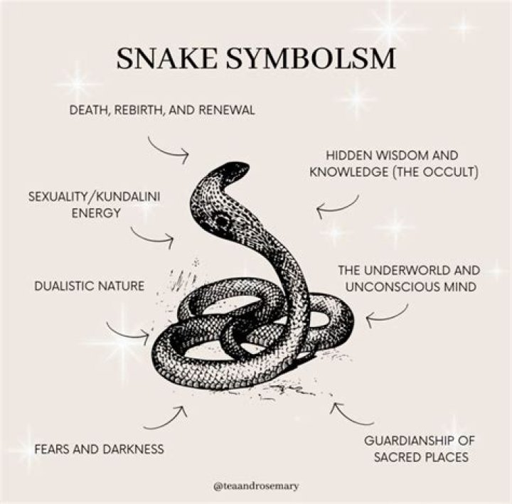 What does a rose and snake symbolize?