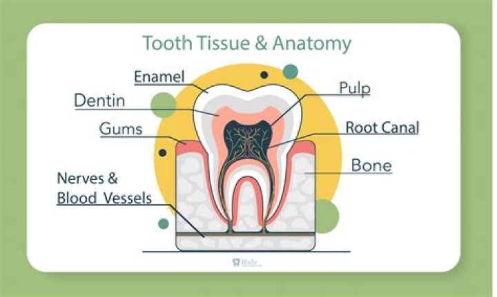 What does a sticky tooth mean?