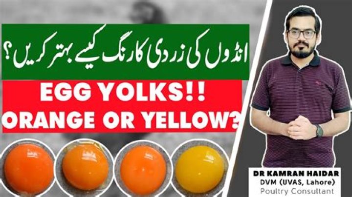 What does an orange egg yolk mean?
