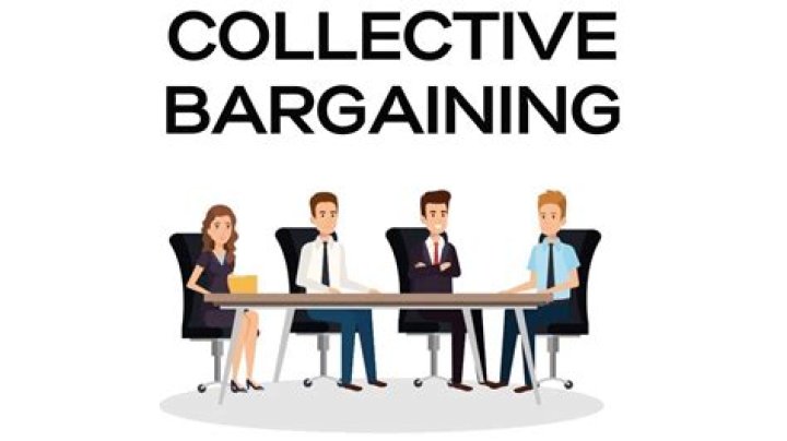 What does bargaining Council mean?