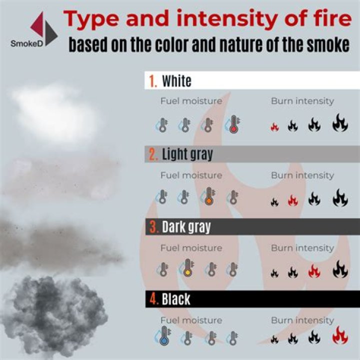 What does black smoke mean in a forest fire?
