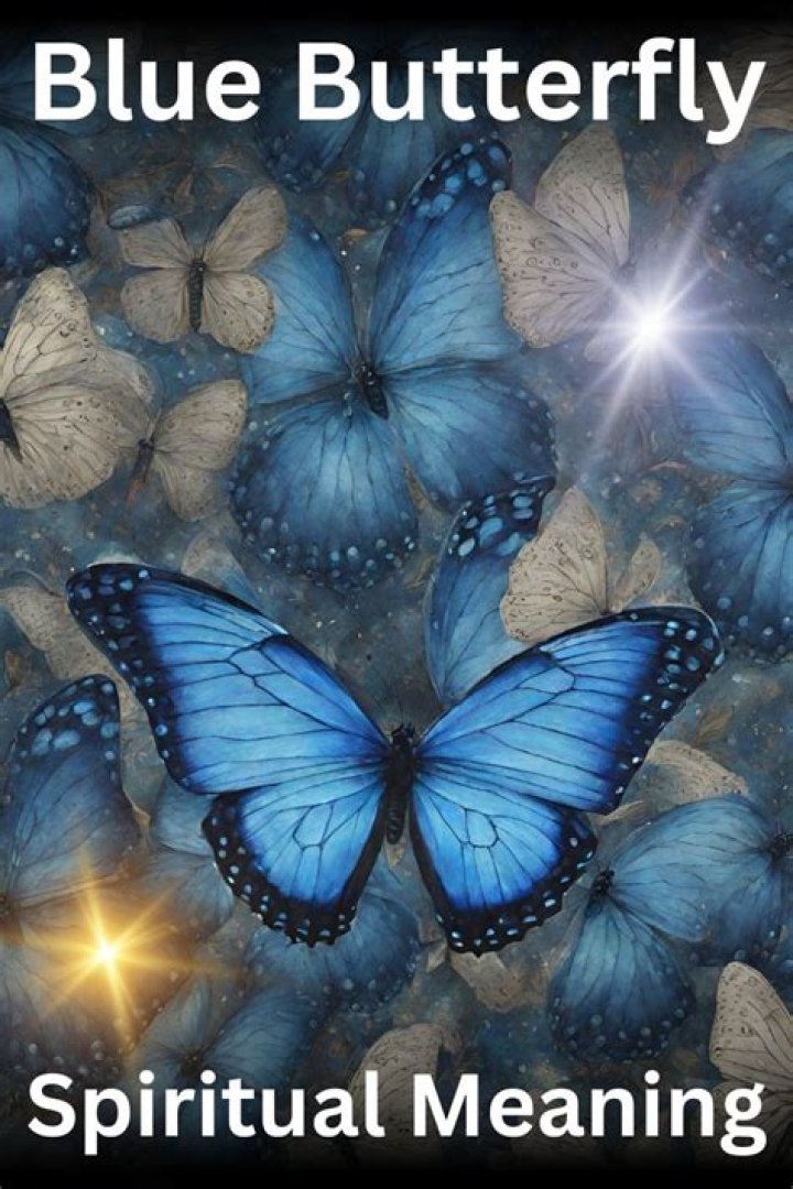 What does blue butterfly mean?