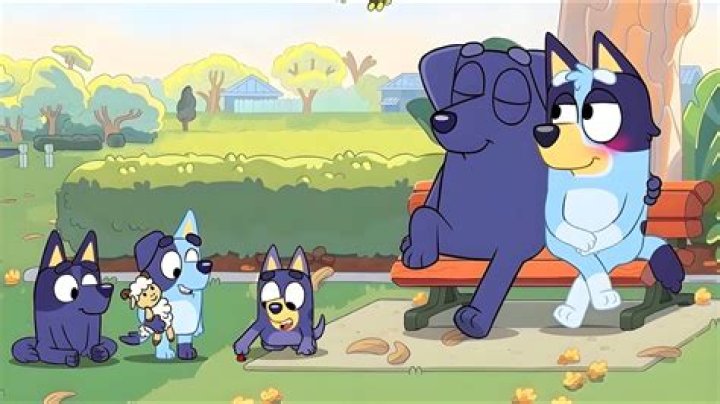 What does Blueys dad say?