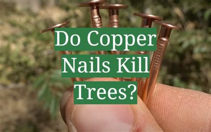 What does copper nails do to trees?