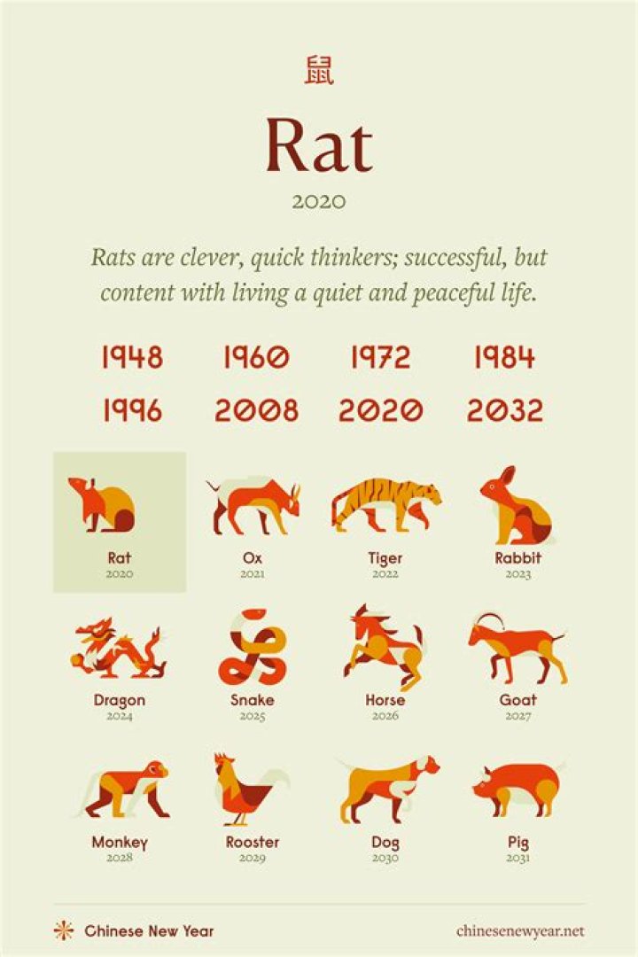 What does dirty rat mean?