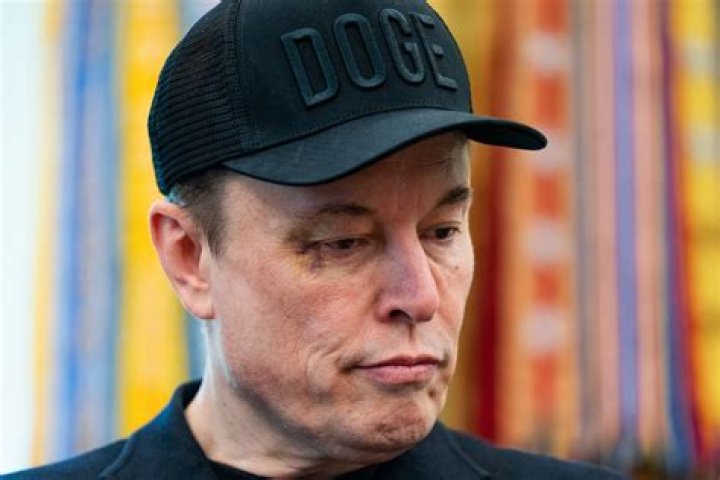 What does Elon Musk say about Dogecoin?