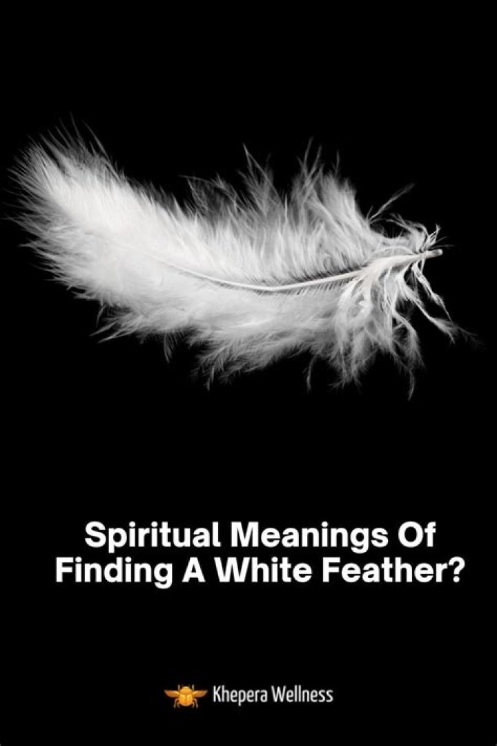 What does finding a white feather in your house mean?