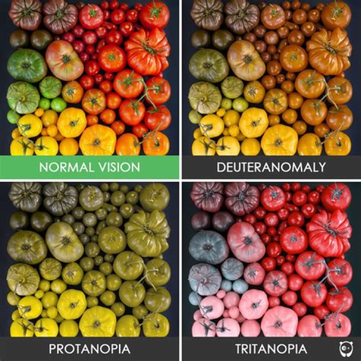 What does green look like to colorblind?