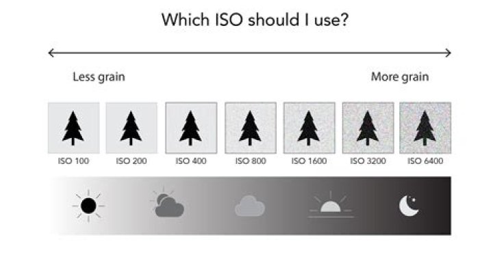 What does ISO mean in photography?
