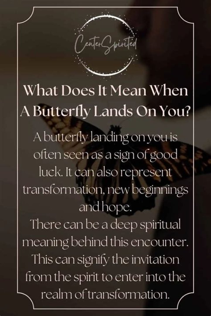 What does it mean when a orange butterfly lands on you?
