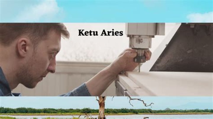 What does Ketu in Aries mean?