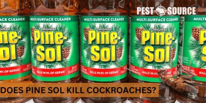 What does Pine-Sol keep away?