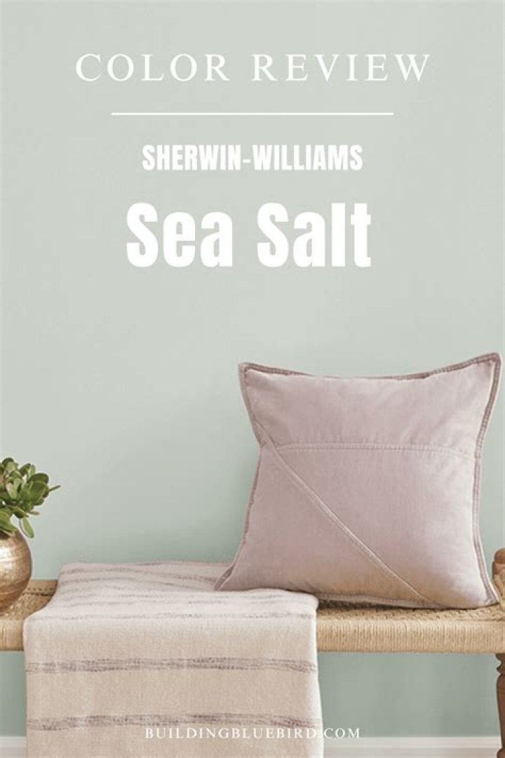 What does Sherwin Williams sea salt color look like?