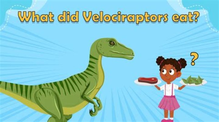 What does Tek Raptor eat?