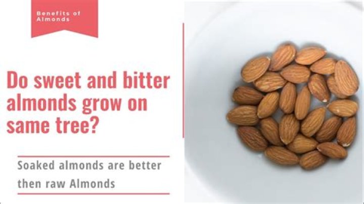 What does the smell of bitter almonds mean?