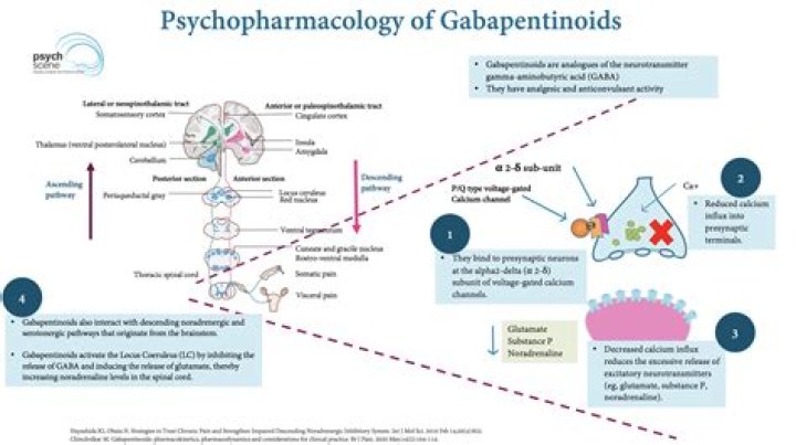 What does withdrawal from gabapentin feel like?