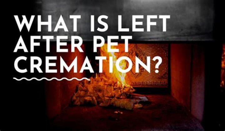 What elements are left after cremation?