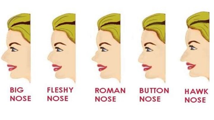 What ethnicity do button noses come from?