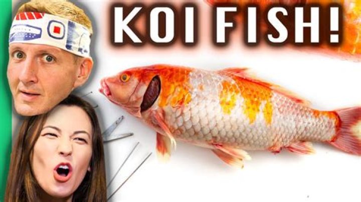 What fish Do Japanese eat alive?