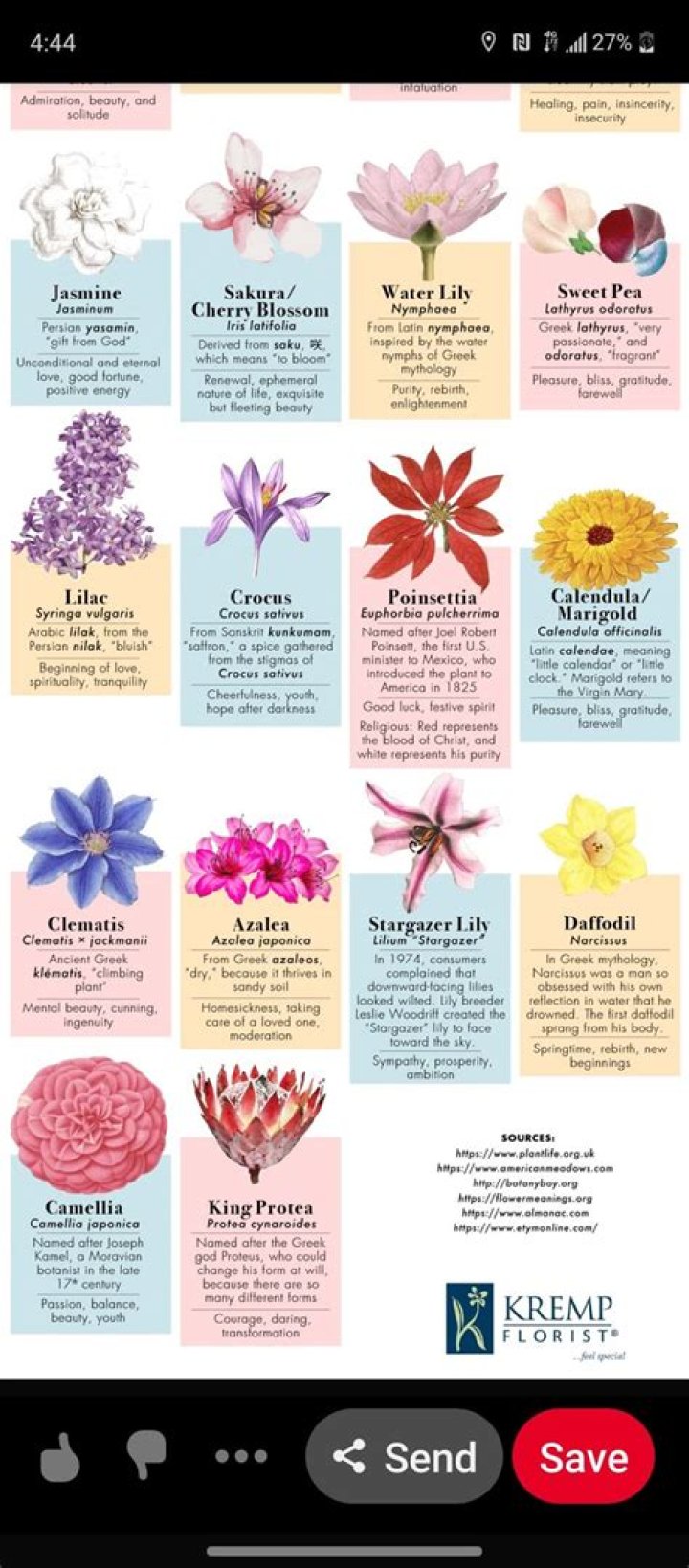 What flower means betrayal?