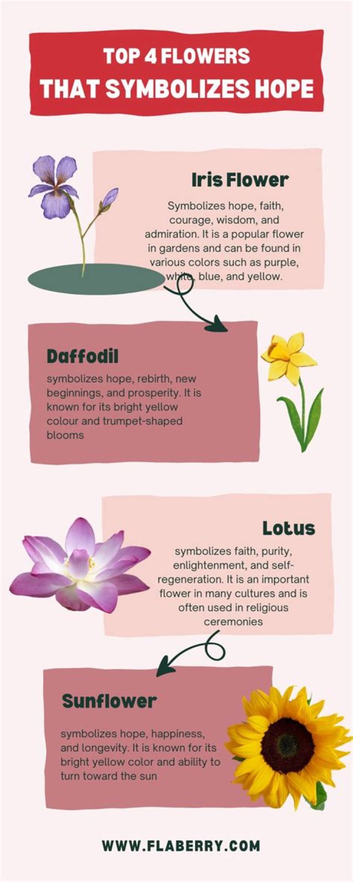 What flower signifies hope?