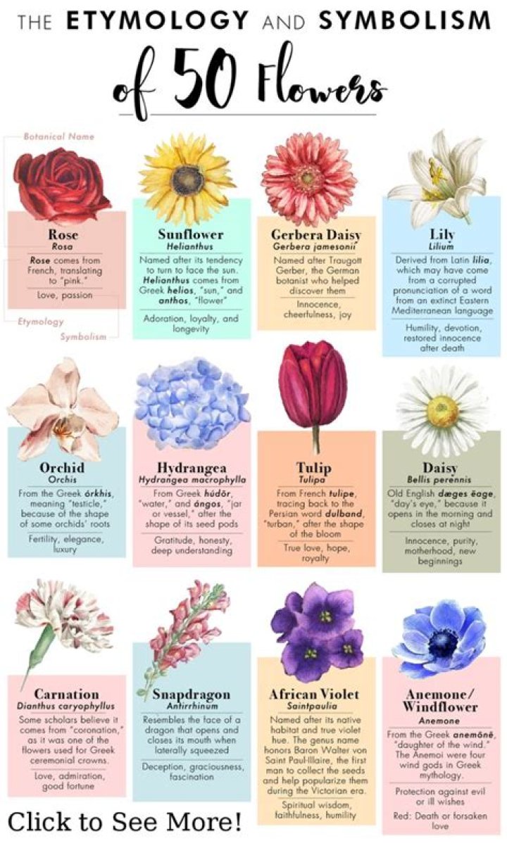 What flower symbolizes evil?