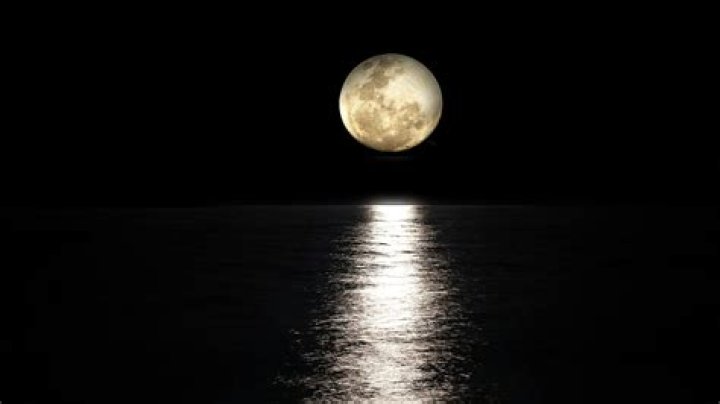 What girl means moonlight?