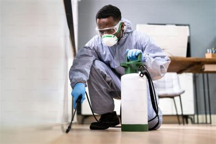 What happens after termite fumigation?