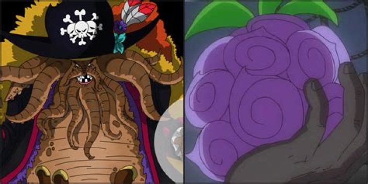 What happens if a human eats choppers Devil Fruit?